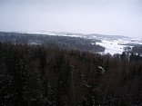 Novoroční pochod 2011 1.1.2011